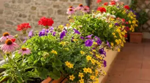 Fioriere sul terrazzo con gerani, petunie e fiori colorati resistenti e facili da coltivare
